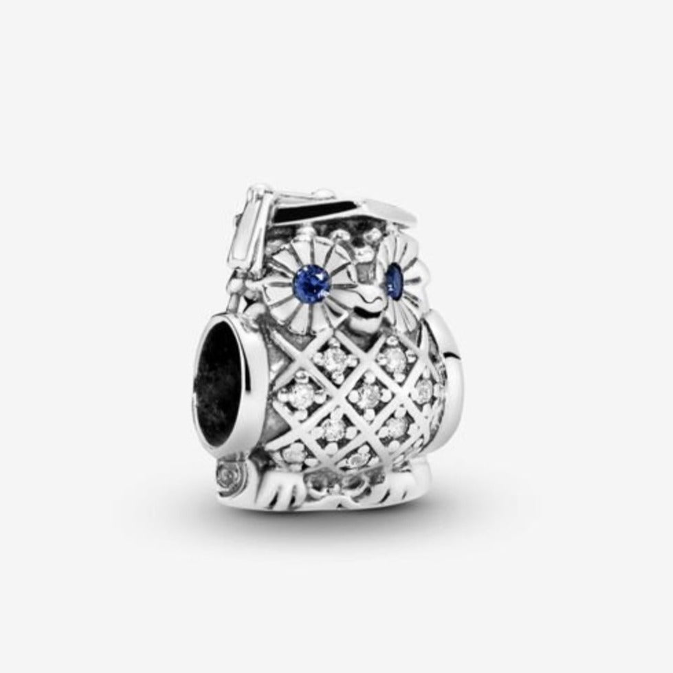 Owl Graduation Charm