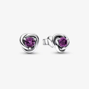 February Purple Eternity Circle Stud Earrings