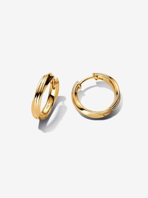 Twisted Hoop Earrings