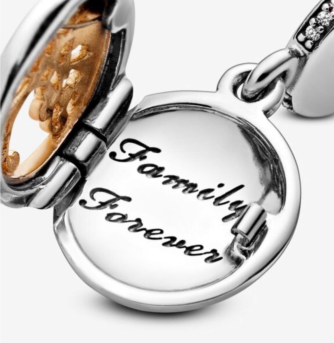 Family Roots Dangle Charm - Image 4