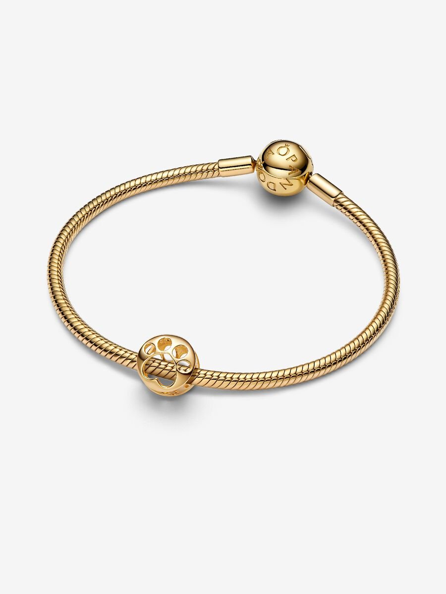 Openwork Paw Charm - Image 3