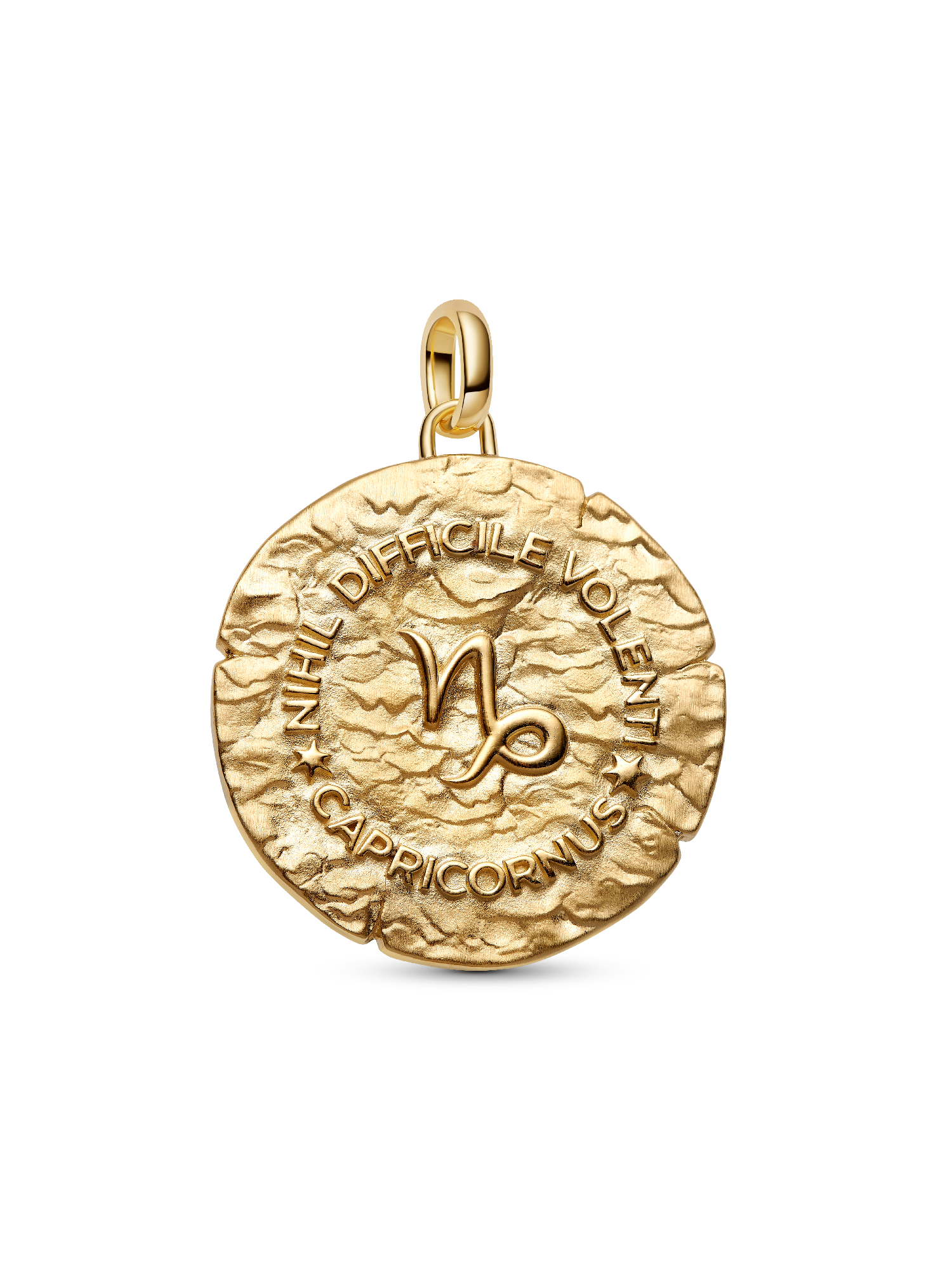 Capricorn Zodiac Oversized Medallion Charm - Image 3