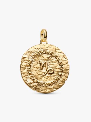 Capricorn Zodiac Oversized Medallion Charm - Image 5