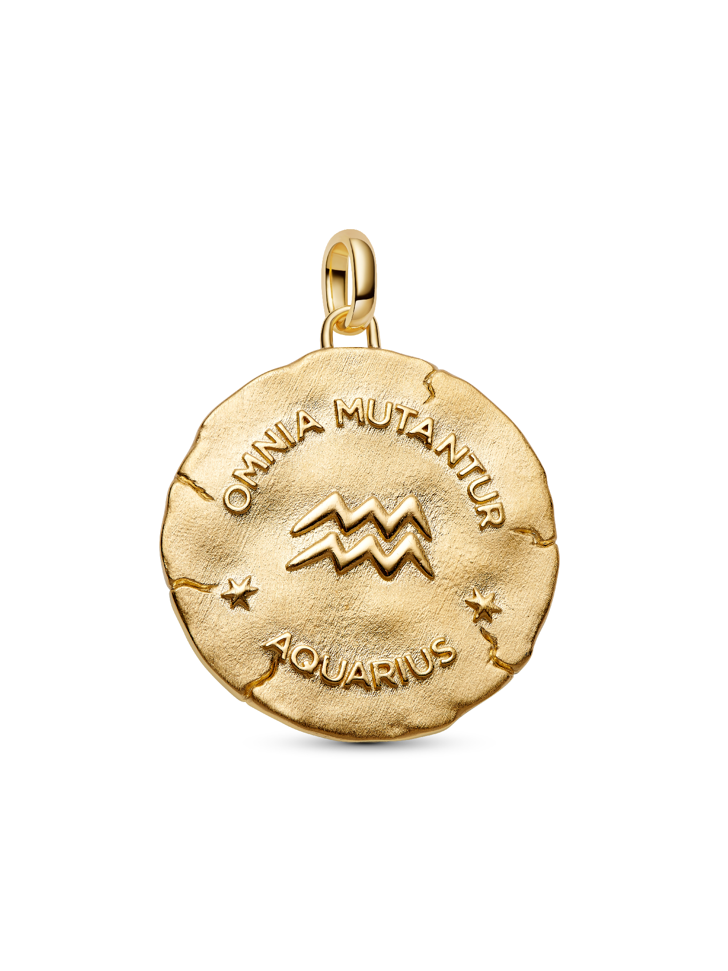 Aquarius Zodiac Oversized Medallion Charm - Image 3