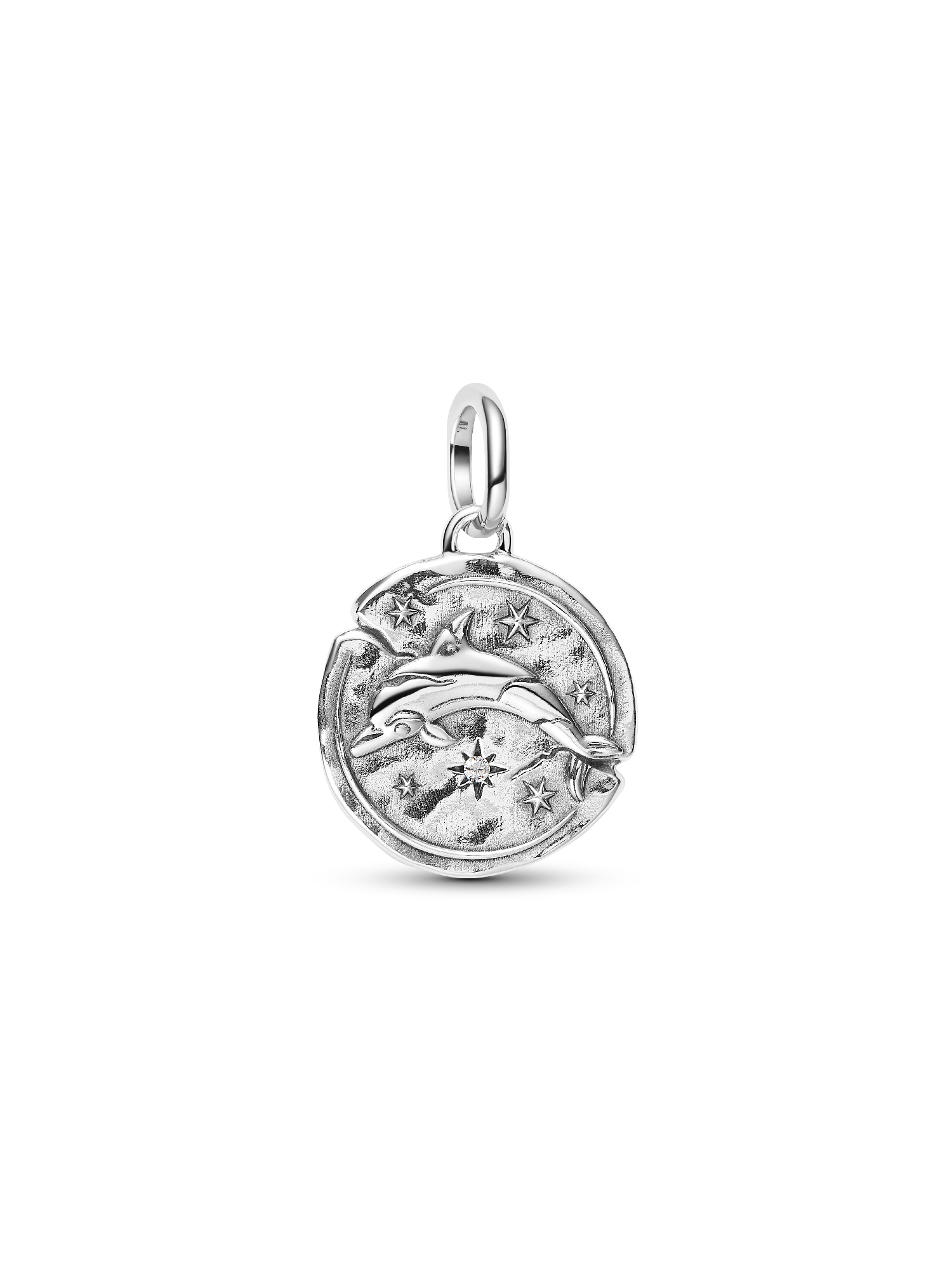 Dolphin Medallion Charm - Image 2