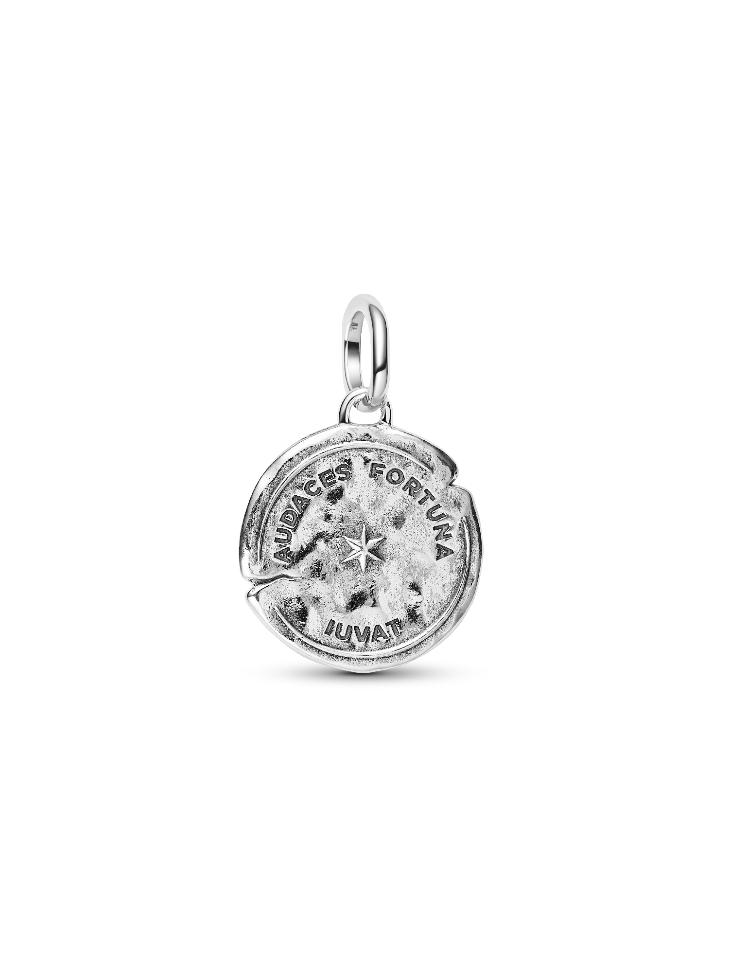 Dolphin Medallion Charm - Image 3